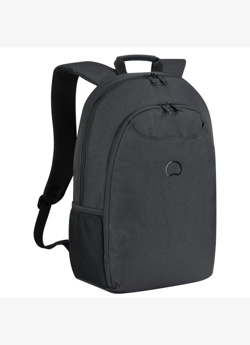 Рюкзаки Delsey ESPLANADE (3942603)