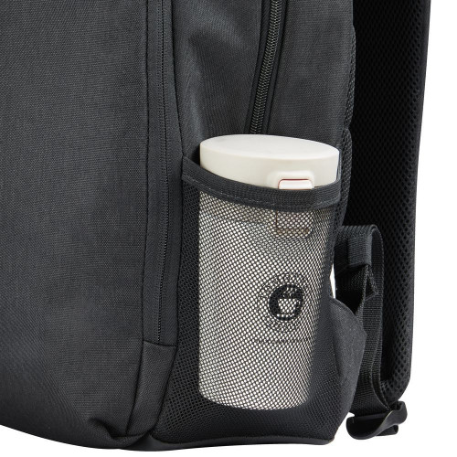 Рюкзаки Delsey ESPLANADE (3942603)