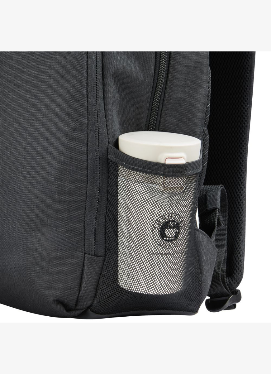 Рюкзаки Delsey ESPLANADE (3942603)