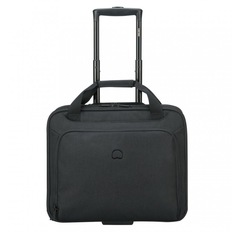 Для ноутбуков Delsey ESPLANADE (3942449)