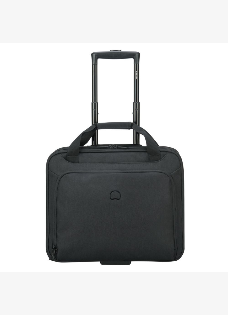 Для ноутбуков Delsey ESPLANADE (3942449)