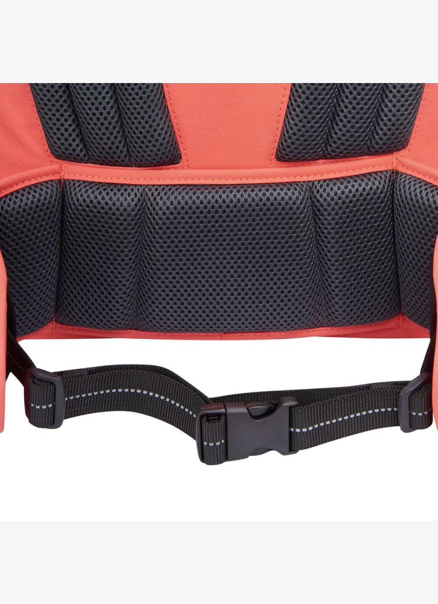 Школьный Рюкзак Delsey 15,6" (339162613)