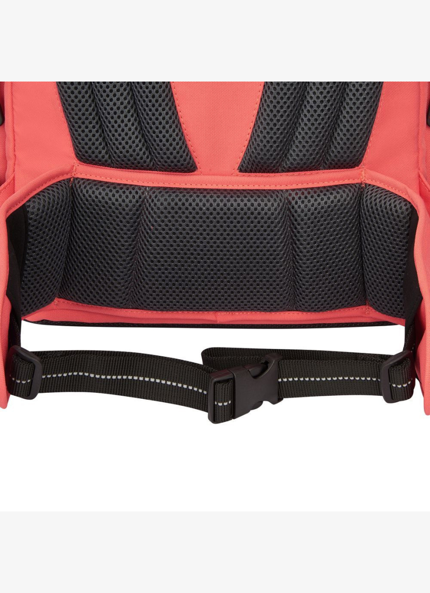 Школьный Рюкзак Delsey 14" (339162519)
